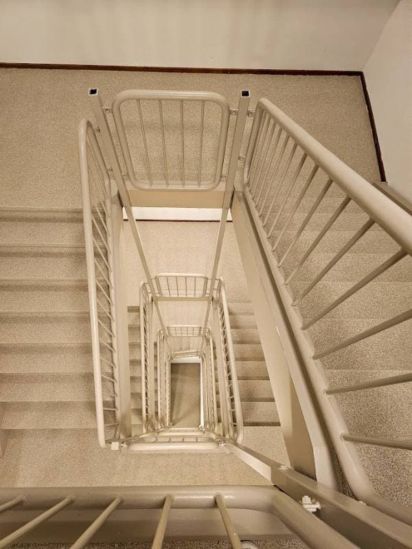 stair renovation with Sandstone Light stone texture in Delft